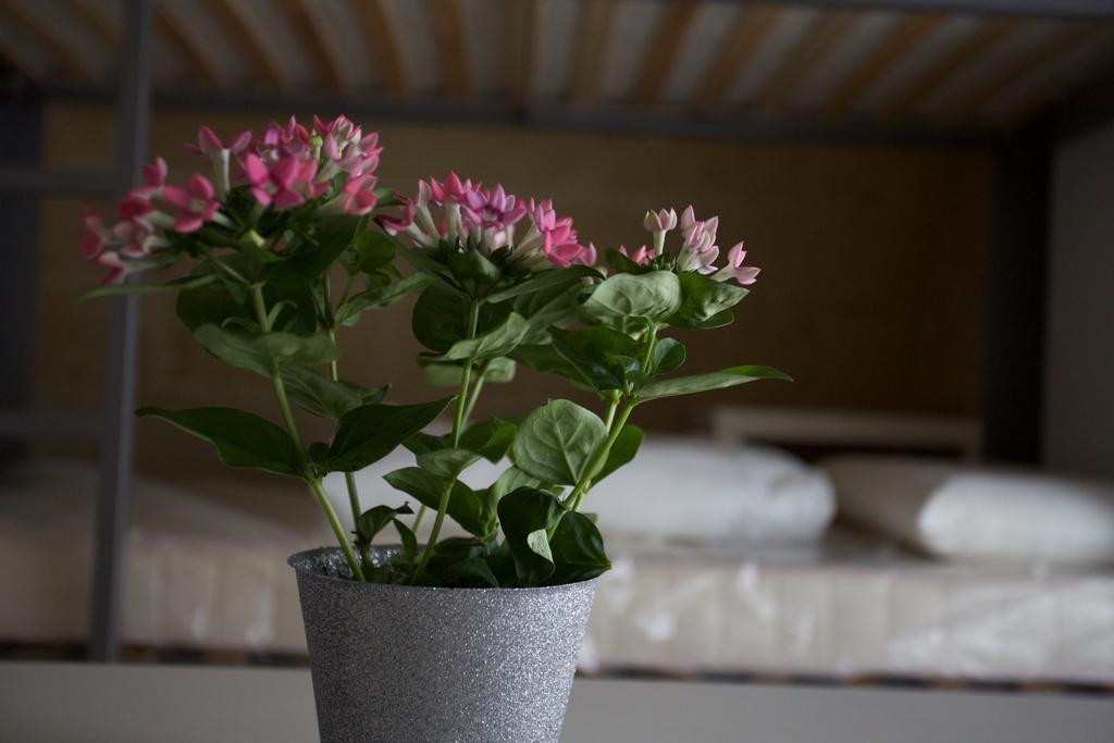 Ostello Dei Sassi - Rooms And Beds Matera Room photo